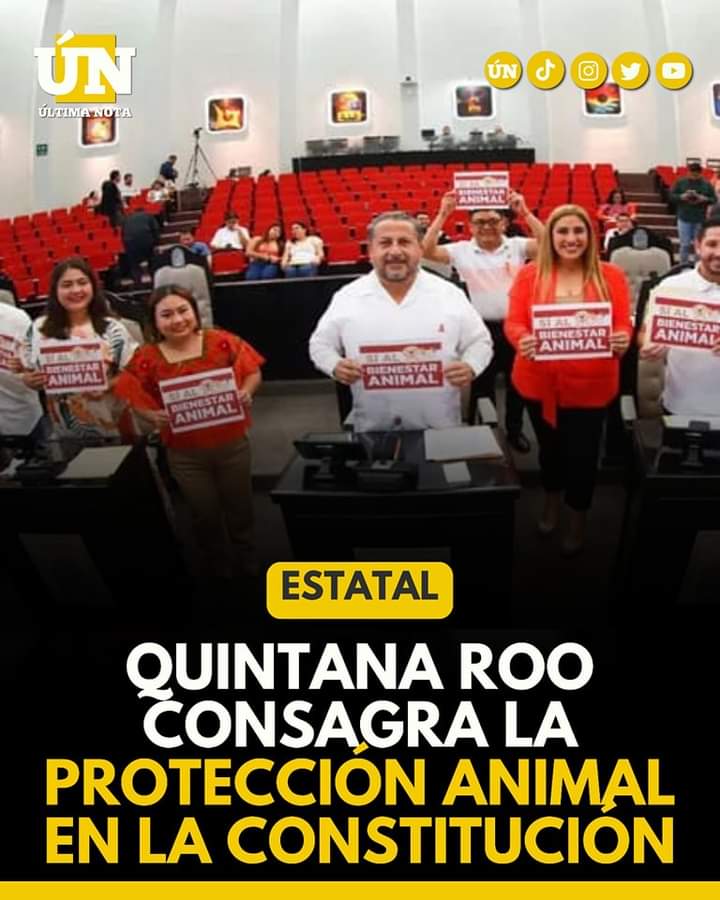 Quintana Roo consagra la protección animal en la Constitución