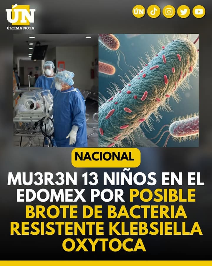 Mu3r3n 13 niños en el Edomex por posible brote de bacteria resistente Klebsiella oxytoca
