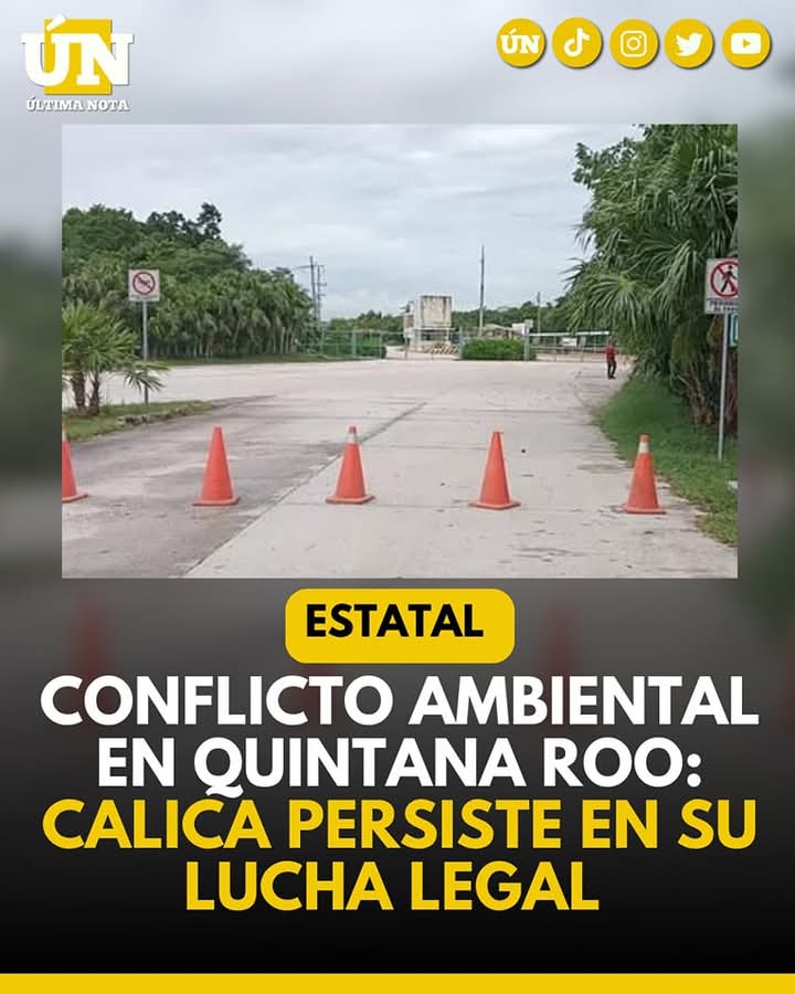 Conflicto Ambiental en Quintana Roo: Calica Persiste en su Lucha Legal