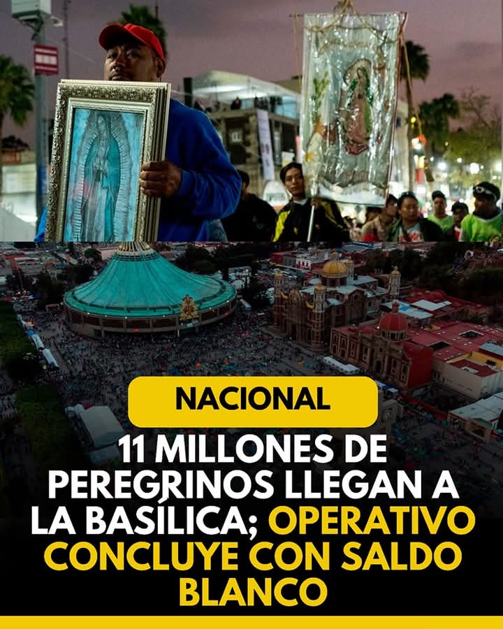 11 millones de peregrinos llegan a la Basílica; operativo concluye con saldo blanco