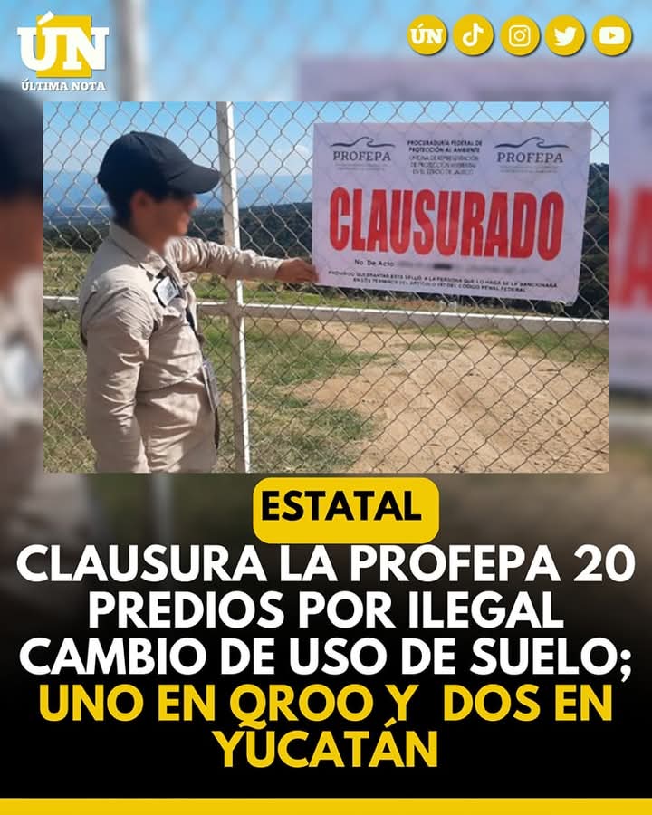Profepa Clausura 20 Predios por Cambio Ilegal de Uso de Suelo en Operativo Nacional