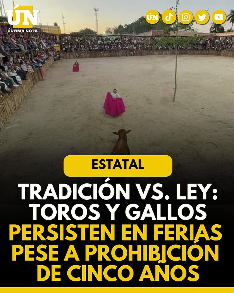 Tradición vs. Ley: Toros y gallos persisten en ferias pese a prohibición de cinco años