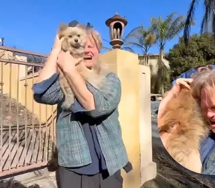 Hombre pierde todo en incendio de Los Ángeles, pero un milagro lo reúne con su perro perdido