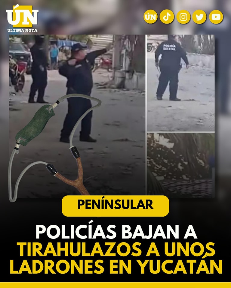 ¡A tirahulazos capturan a presuntos ladrones en Celestún!