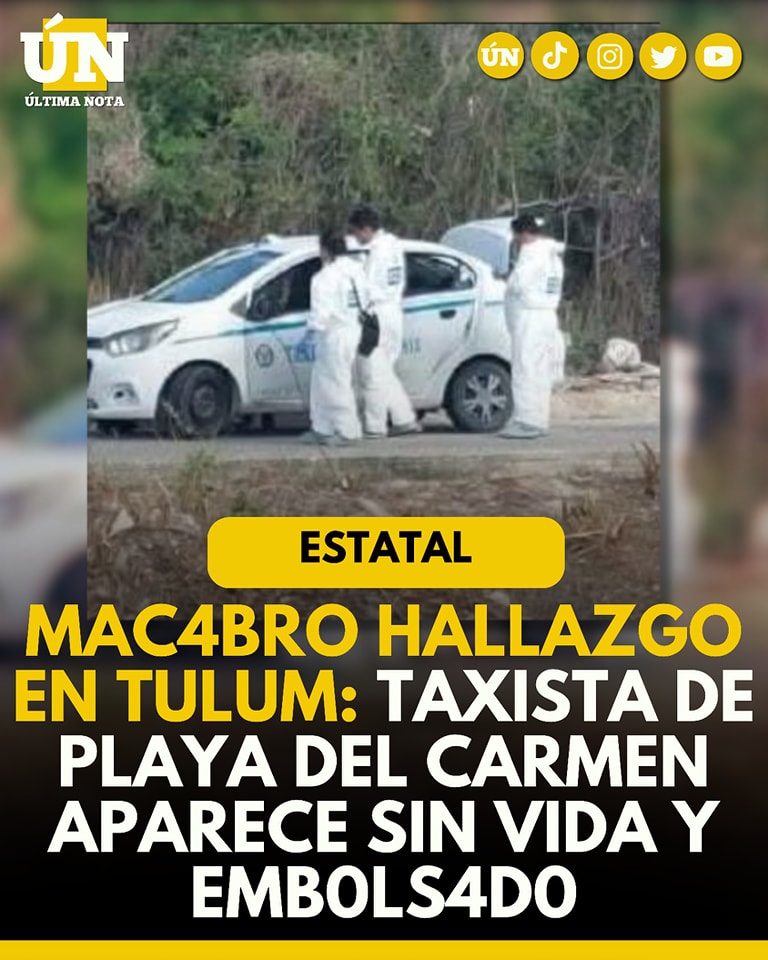 Macabro Hallazgo en Tulum: Taxista de Playa del Carmen Aparece Sin Vida y Embolsado