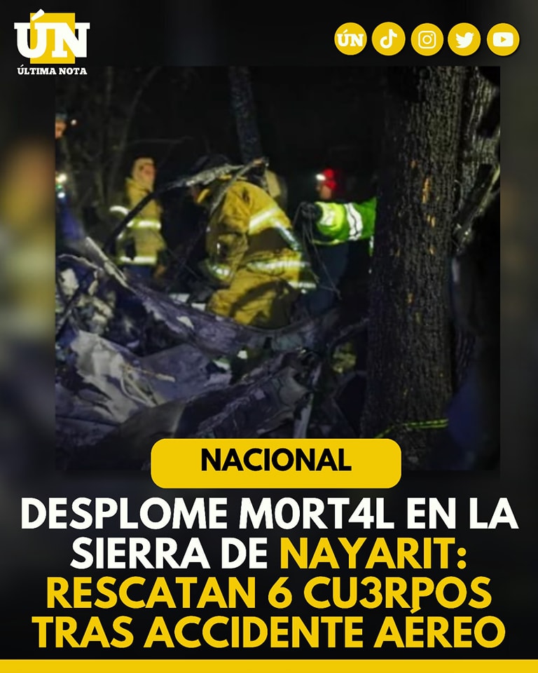 Desplome mortal en la sierra de Nayarit: rescatan 6 cuerpos tras accidente aéreo