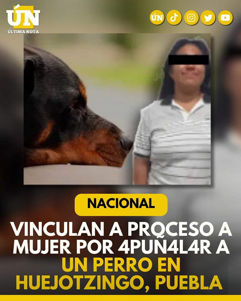 Vinculan a proceso a mujer por apuñalar a un perro en Huejotzingo, Puebla