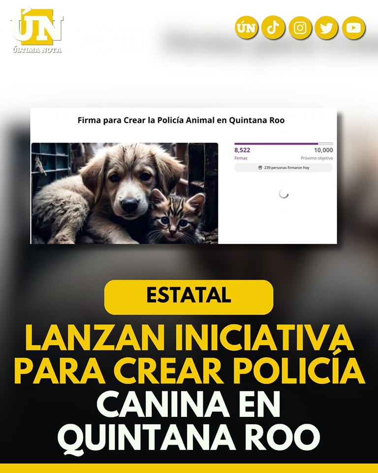 Lanzan iniciativa para crear Policía Canina en Quintana Roo