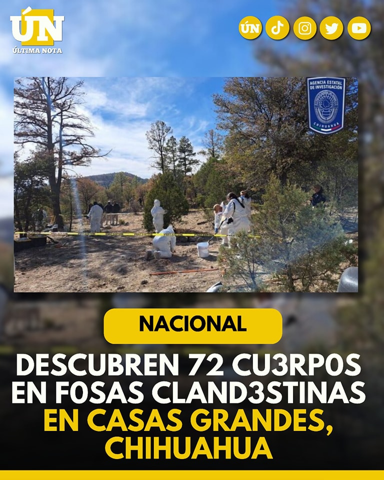 Descubren 72 cuerpos en fosas clandestinas en Casas Grandes, Chihuahua