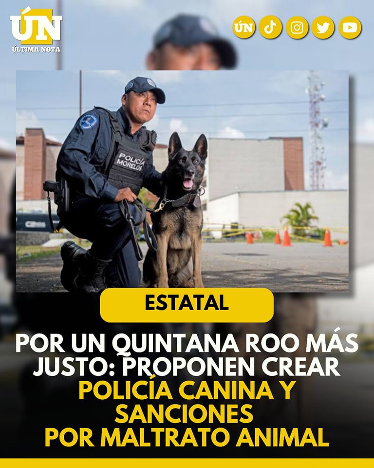 “Por un Quintana Roo más justo: proponen crear Policía Canina y sanciones por maltrato animal”