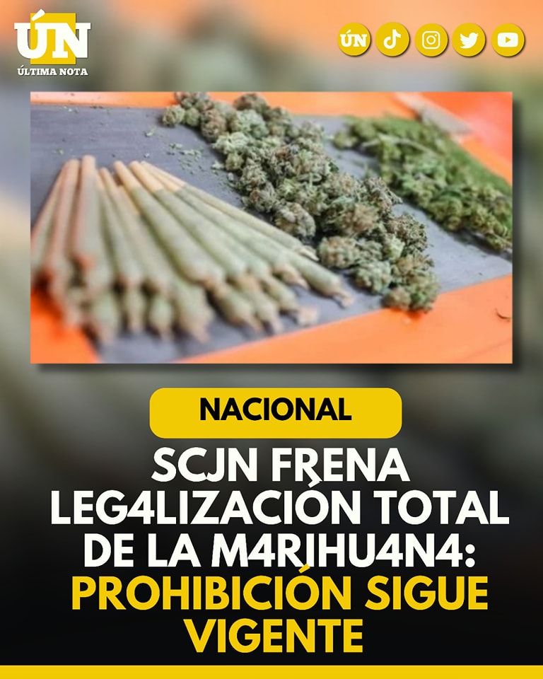 SCJN frena legalización total de la marihuana: prohibición sigue vigente