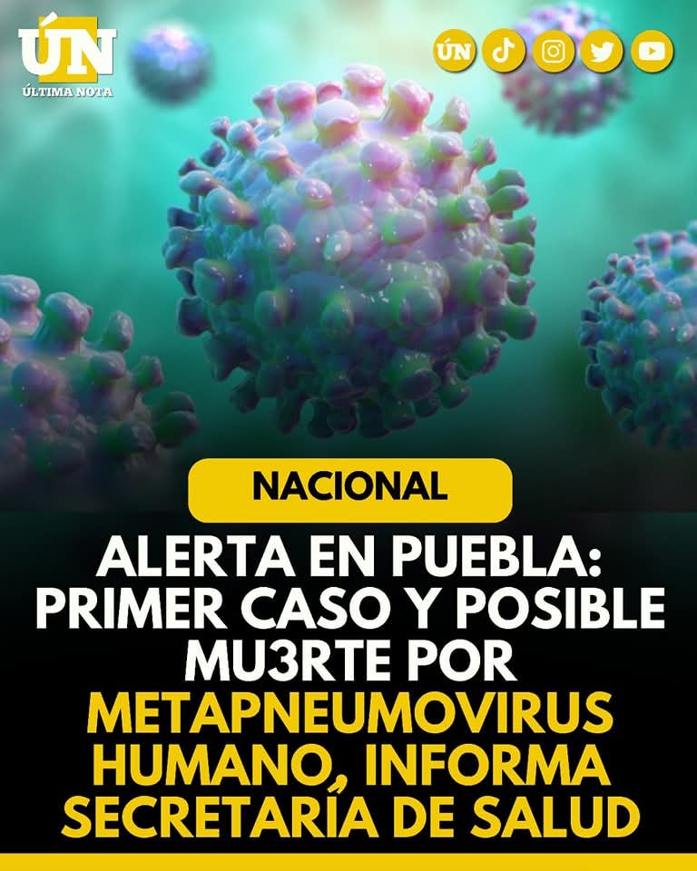 Alerta en Puebla: Primer caso y posible mu3rte por Metapneumovirus humano, informa Secretaría de Salud