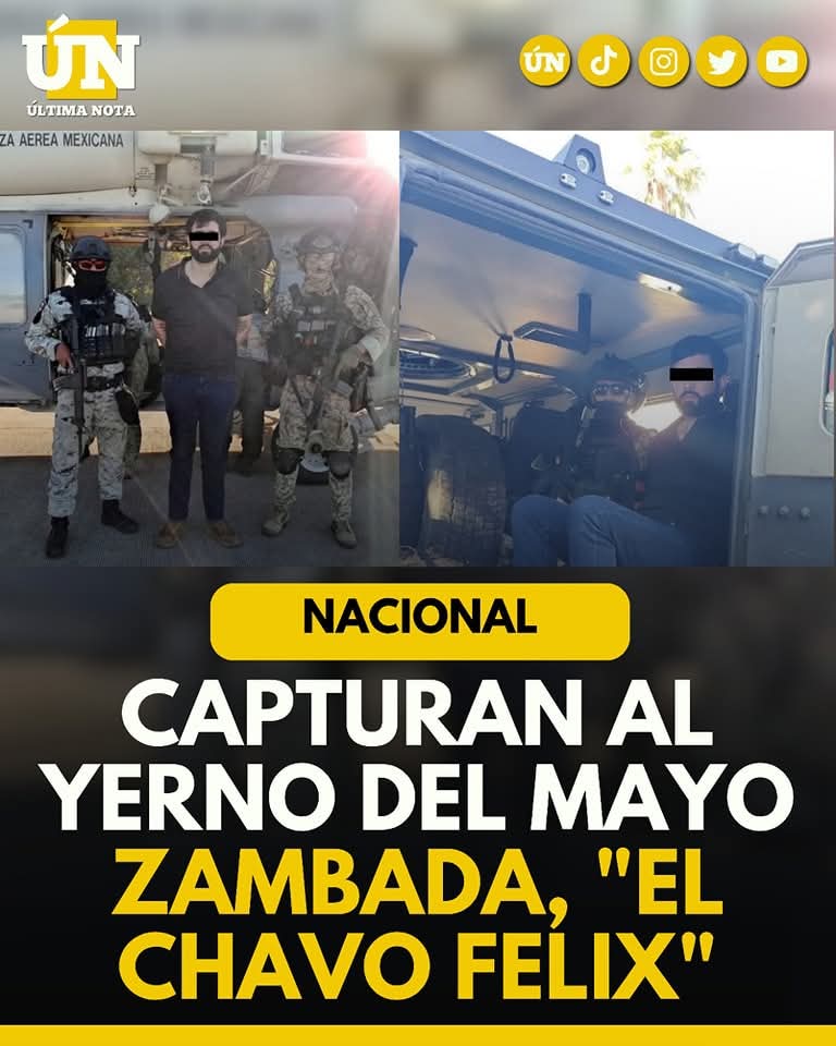 ¡Cayó la ley! 🚨 Ayer fue capturado en Culiacán, Sinaloa, Juan Carlos Félix Gastélum, alias ‘Chavo Félix’, conocido por ser el yerno de Ismael ‘El Mayo’ Zambada.