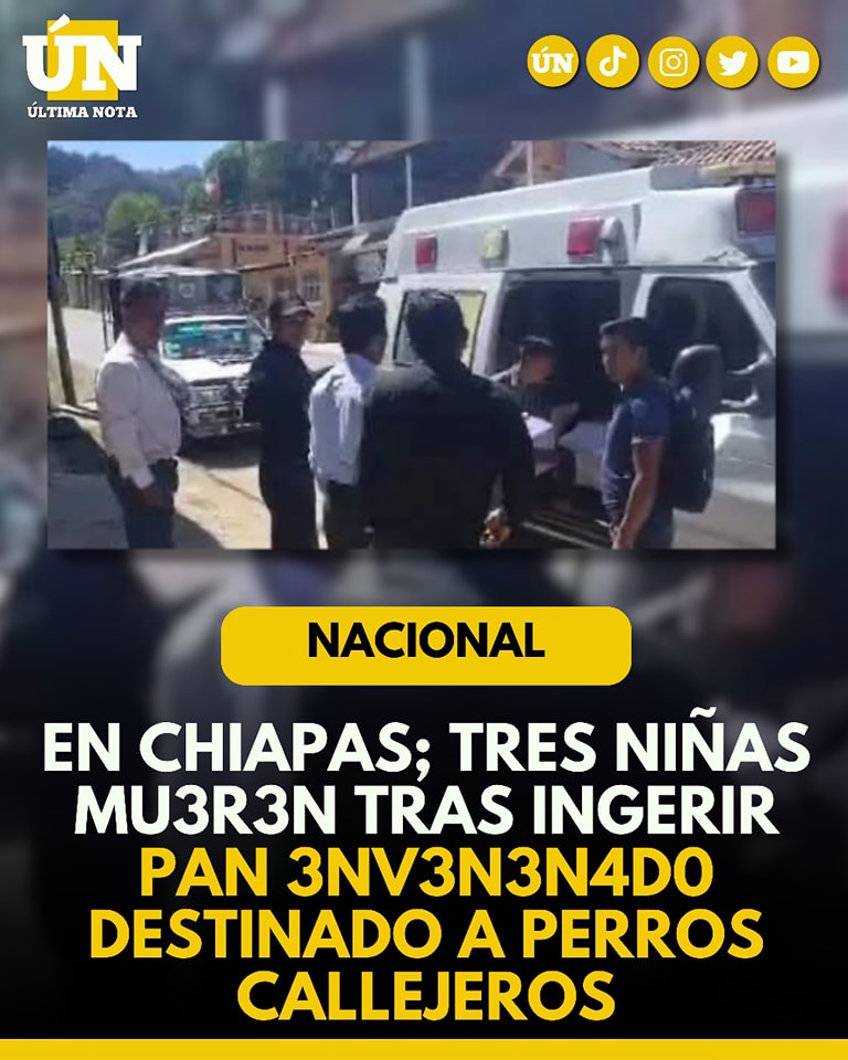 Tres niñas mu3r3n tras ingerir pan 3nv3n3n4d0 destinado a perros callejeros