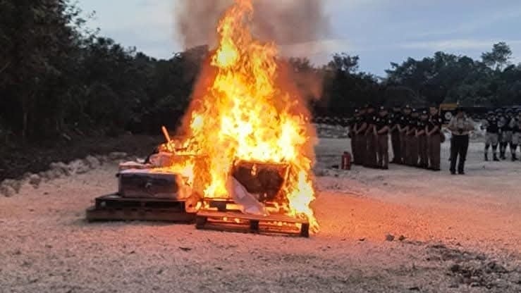 FGR incinera más de 122 kilos de n4rc0ticos en Quintana Roo
