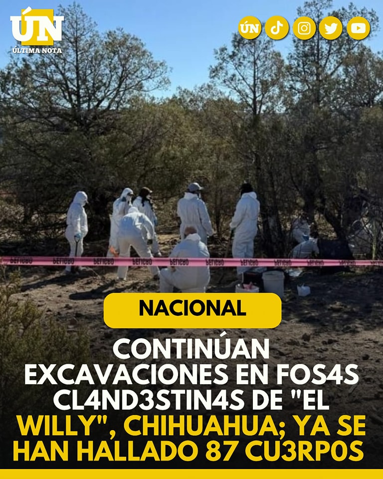 Continúan excavaciones en fos4s cland3stin4s de “El Willy”, Chihuahua; ya se han hallado 87 cu3rp0s