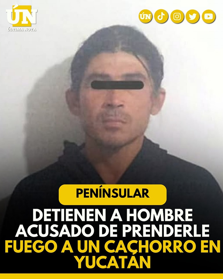 Detienen a hombre acusado de prend3rle fu3g0 a un cachorro en Yucatán