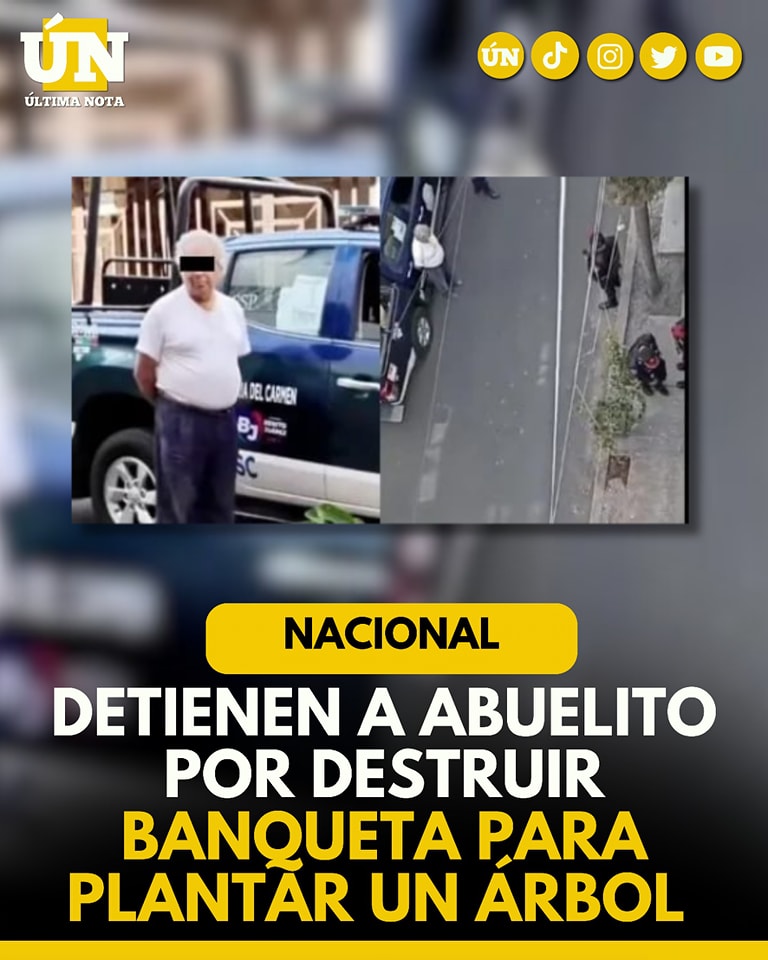 Detienen a abuelito por destruir banqueta para plantar un árbol