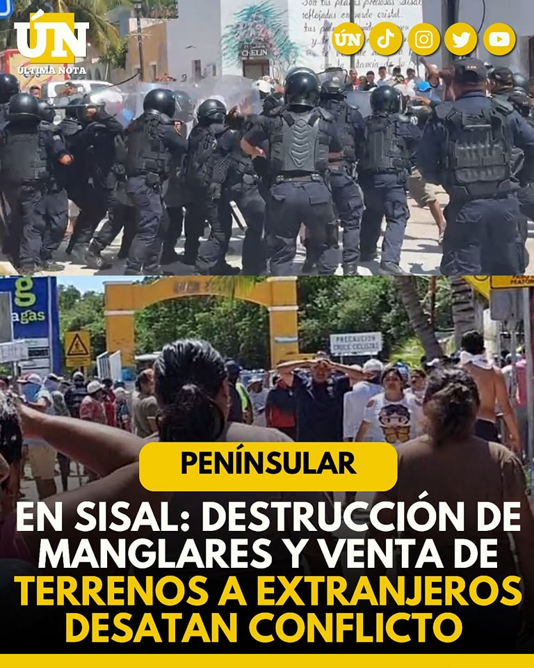 Tensión en Sisal: Destrucción de manglar y conflicto por venta de terrenos