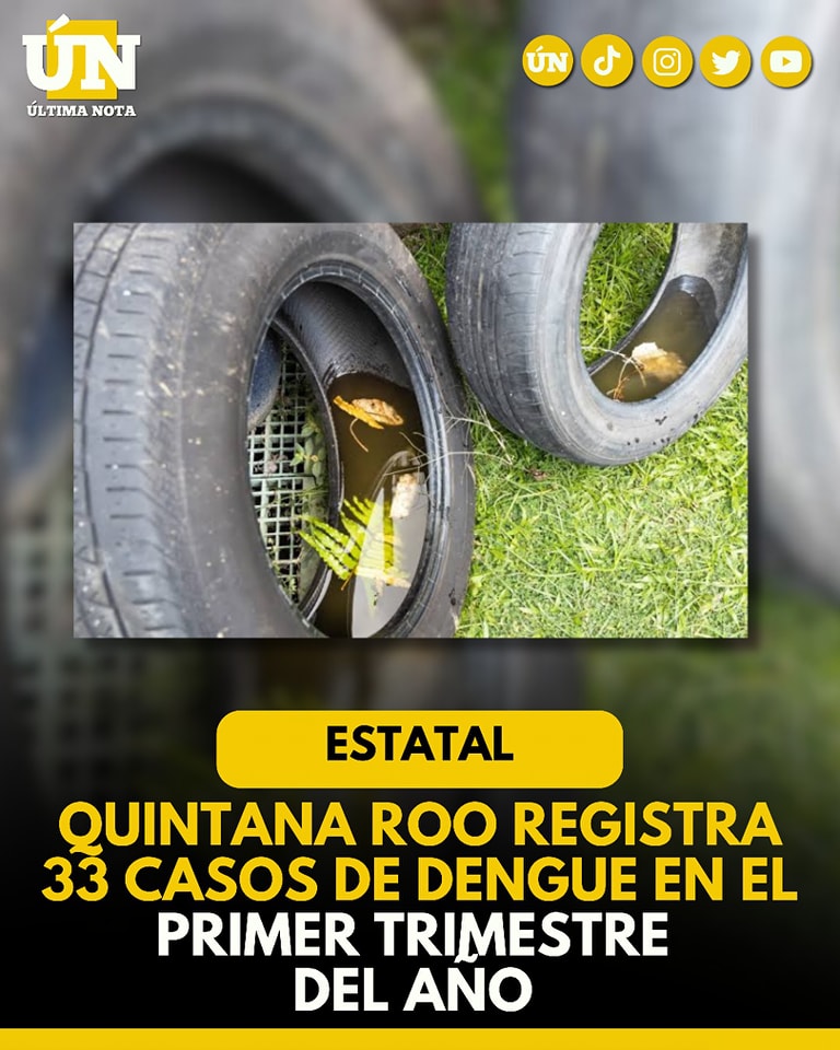 Quintana Roo registra 33 casos de dengue en el primer trimestre del año