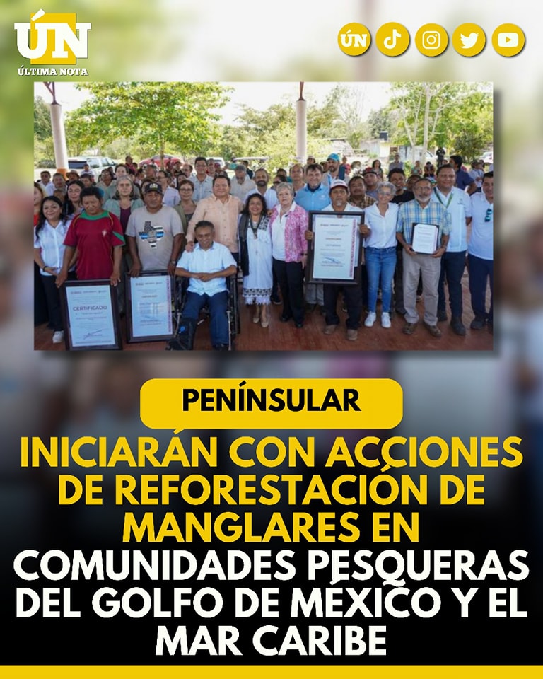 Iniciarán con acciones de Reforestación de Manglares en Comunidades Pesqueras del Golfo de México y el Mar Caribe #Peninsular