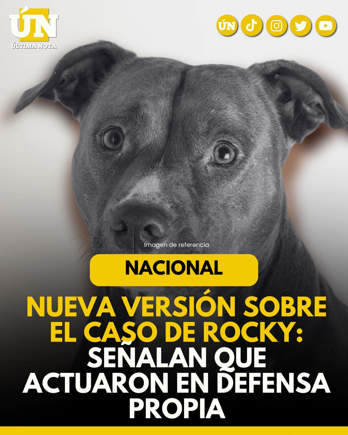 Nueva versión sobre el caso de Rocky: Señalan que actuaron en defensa propia