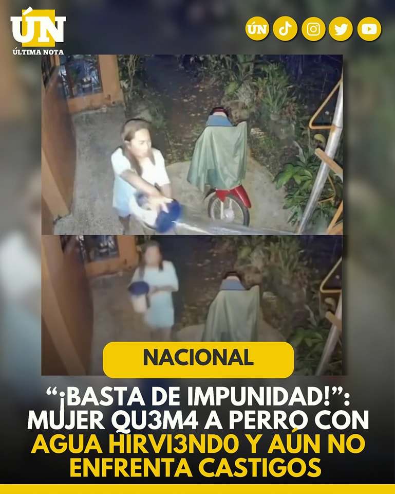 “¡Basta de impunidad!”: Mujer qu3m4 a perr0 con agu4 h1rvi3nd0 y aun no enfrenta castigo