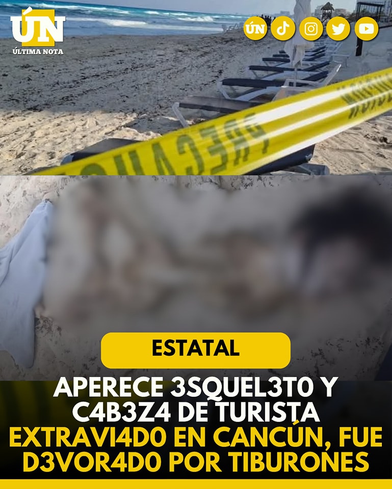 Hallan r3st0s ós3os de turista desaparecido en Playa Chacmool; presumen 4t4qu3 de tiburones