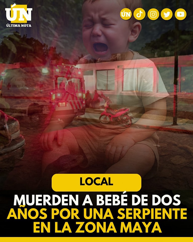 Bebé de 2 años es m0rdid4 por una serpiente en la comunidad de Tres Reyes