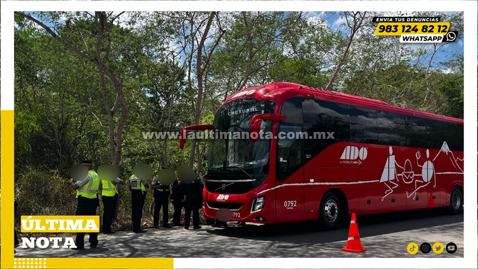 Guardia Nacional y policías interceptan autobús ADO en Felipe Carrillo Puerto; viajaba presunto desaparecido