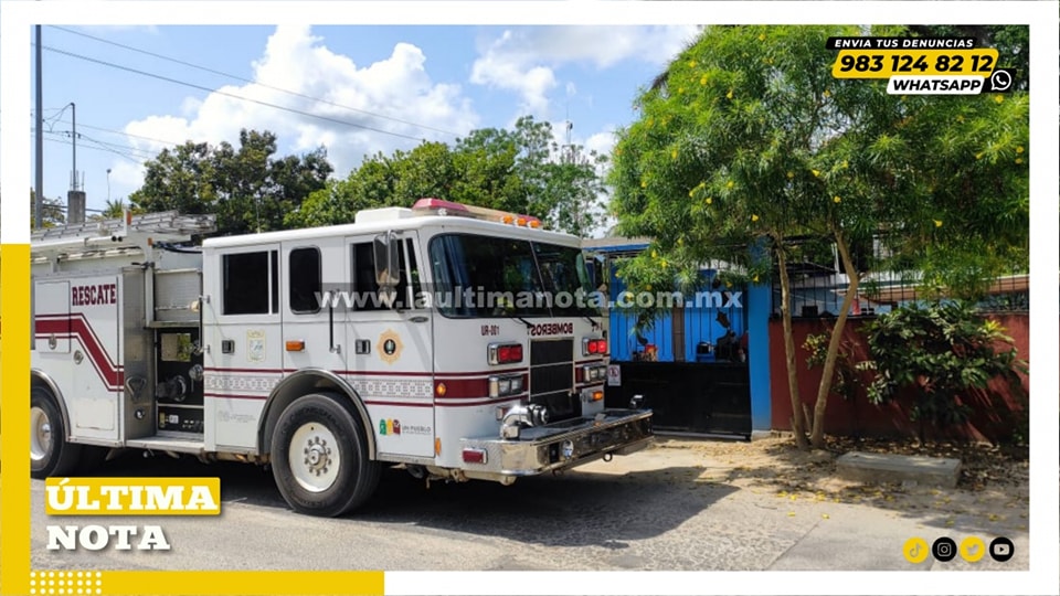 Movilizan a bomberos tras presencia de perro agr3siv0 con hocico espumoso