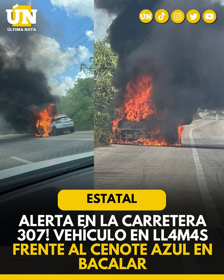 Alerta en la Carretera 307! Vehículo en ll4m4s frente al Cenote Azul en Bacalar