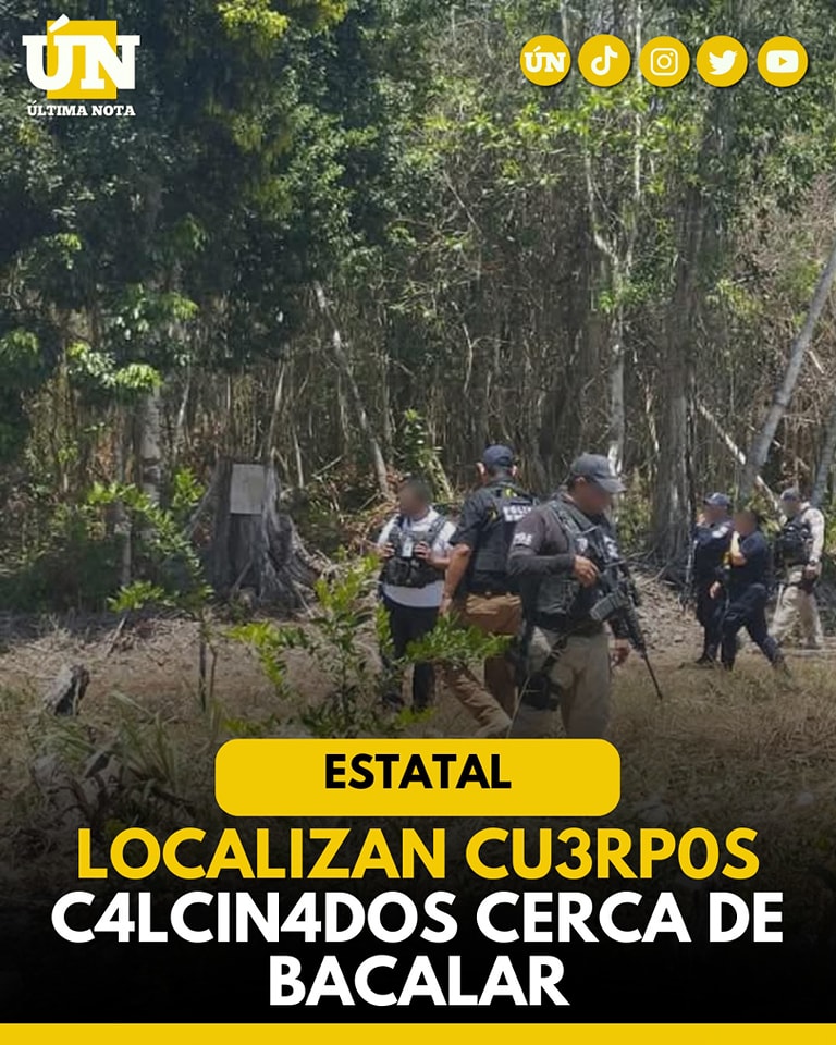 Autoridades localizan r3st0s hum4nos c4lcin4d0s en operativo de búsqueda en Bacalar
