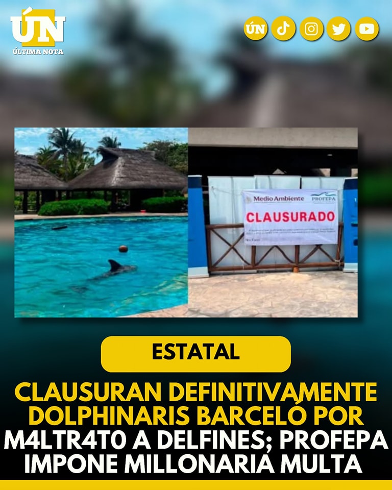 Clausuran definitivamente Dolphinaris Barceló por m4ltr4t0 a delfines; Profepa impone millonaria multa