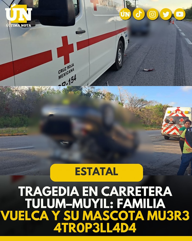 Tragedia en carretera Tulum–Muyil: familia vuelca y su mascota mu3r3 4tr0p3ll4d4