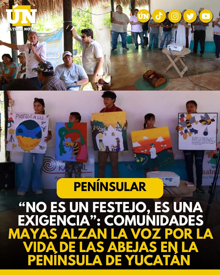 “No es un festejo, es una exigencia”: Comunidades mayas alzan la voz por la vida de las abejas en la Península de Yucatán
