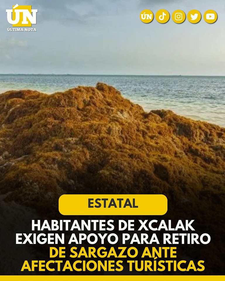 Habitantes de Xcalak exigen apoyo para retiro de sargazo ante afectaciones turísticas