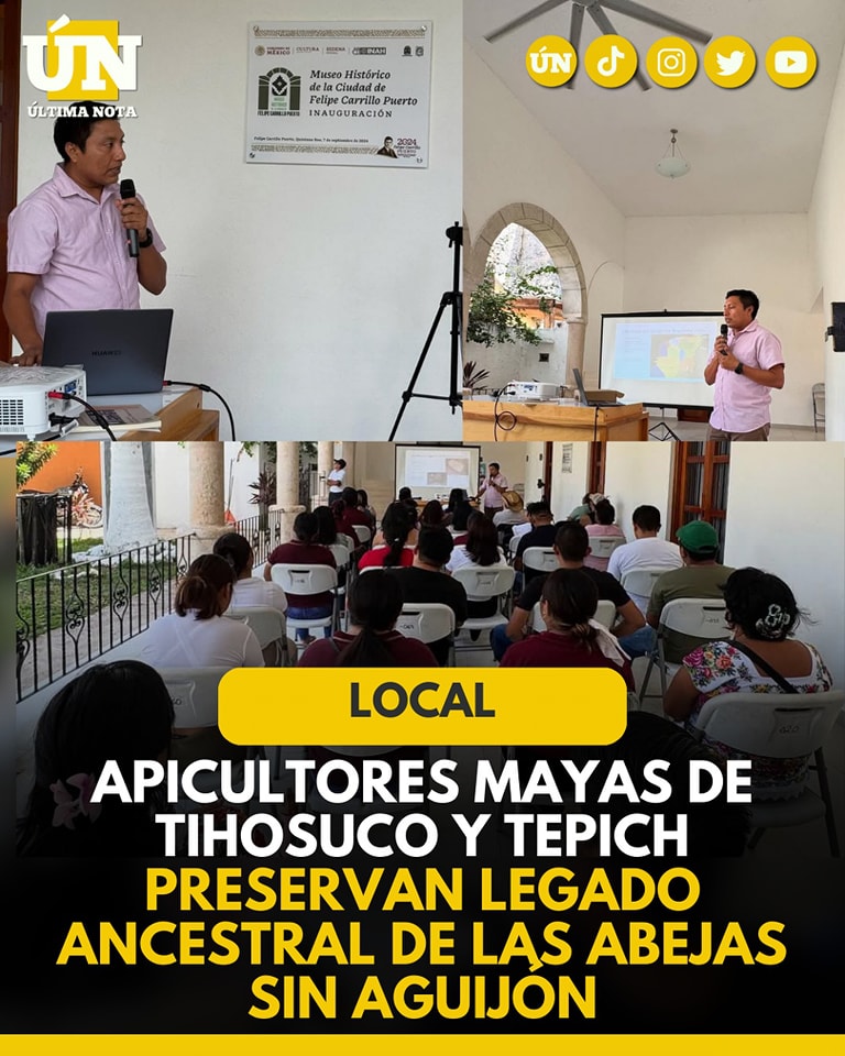 Apicultores mayas de Tihosuco y Tepich preservan legado ancestral de las abejas sin aguijón