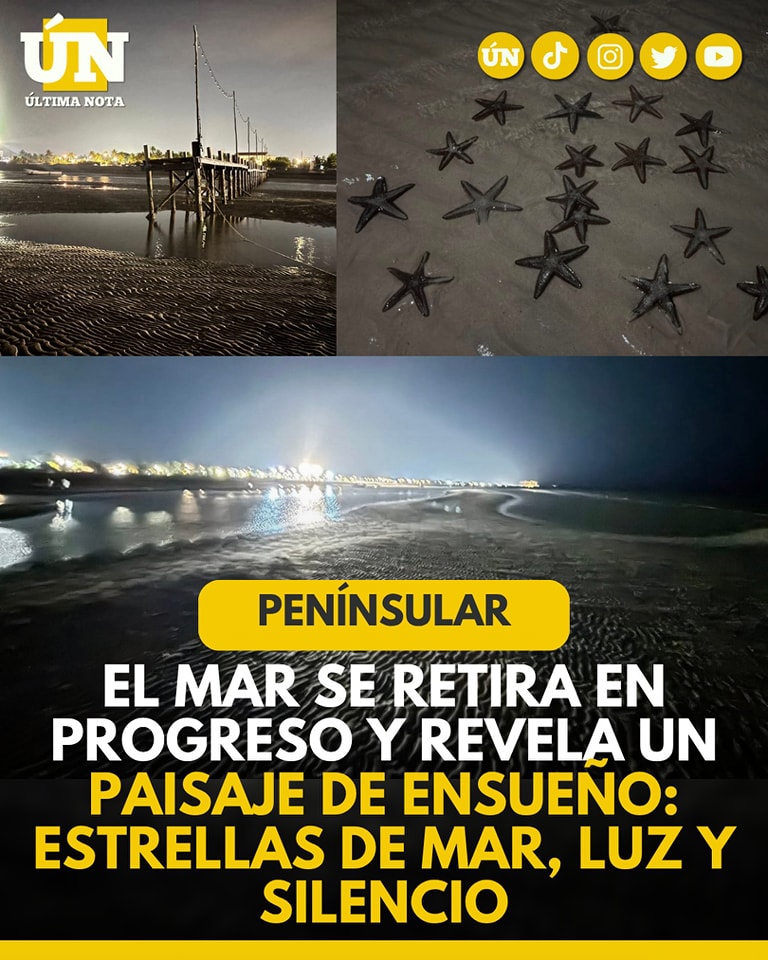 El mar se retira en Progreso y revela un paisaje de ensueño: estrellas de mar, luz y silencio