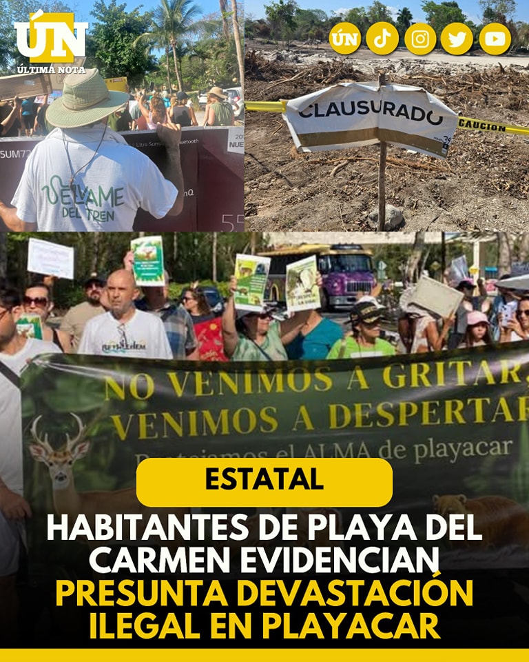 Habitantes de Playa del Carmen evidencian presunta devastación ilegal en Playacar 