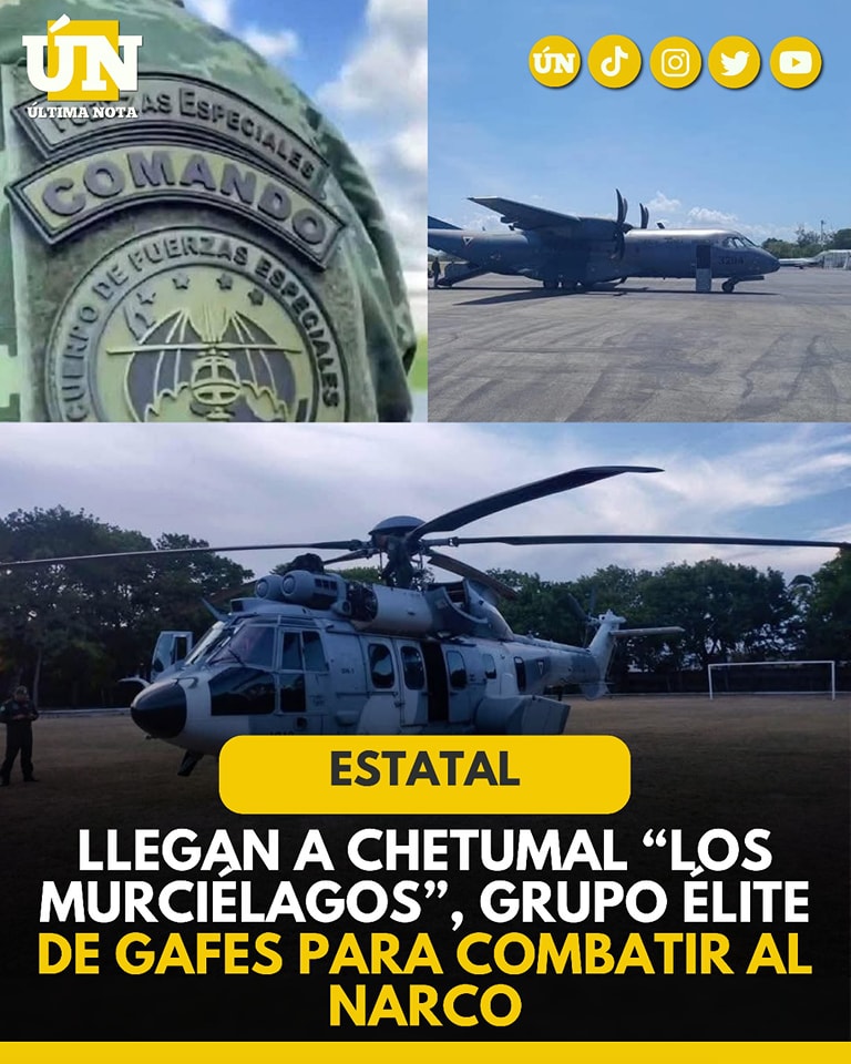 Llegan a Chetumal “Los Murciélagos”, grupo élite de GAFES para combatir al n4rc0