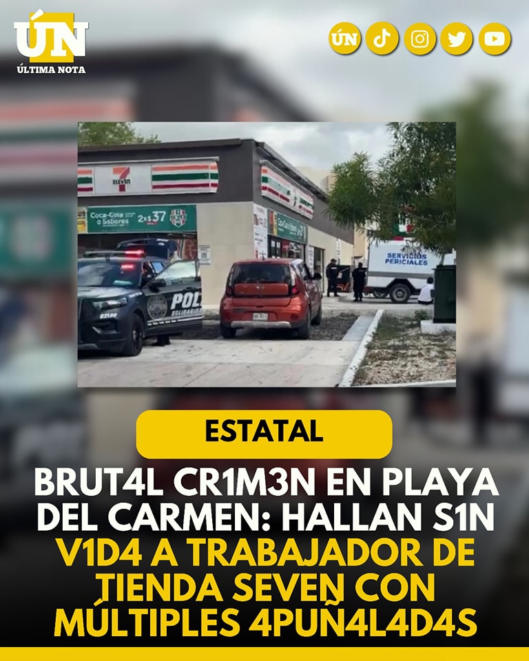 Brut4l crimen en Playa del Carmen: hallan s1n v1d4 a trabajador de tienda Seven con múltiples 4puñ4l4d4s