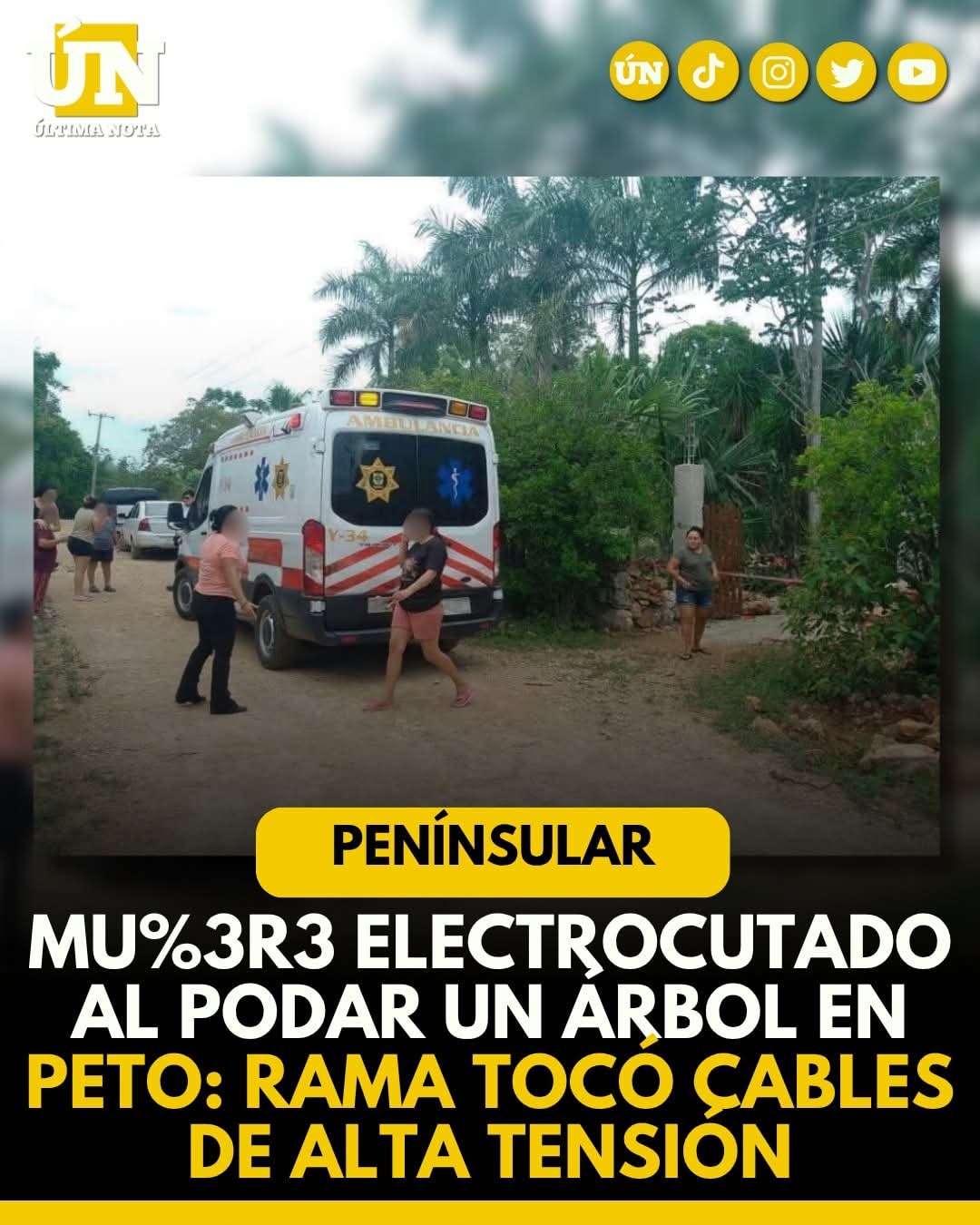 Mu3r3 3l3ctr0cut4d0 al podar un árbol en Peto: rama tocó cables de alta tension.