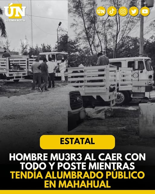 Tragedia laboral en Mahahual: pierde la vid4 trabajador al caer de un poste en mal estado