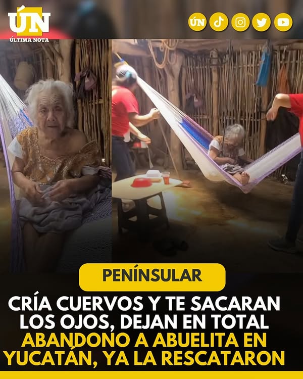 Abuelita abandonada sin techo, entre sus d3s3ch0s y sin su pensión en Peto Yucatán