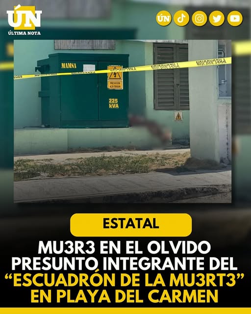 Mu3r3 en el olvido presunto integrante del “escuadrón de la mu3rt3” en Playa del Carmen