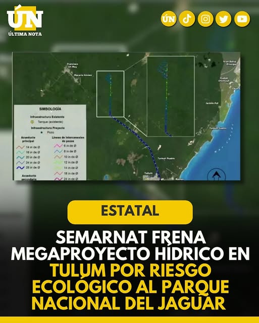 Semarnat frena megaproyecto hídrico en Tulum por riesgo ecológico al Parque Nacional del Jaguar