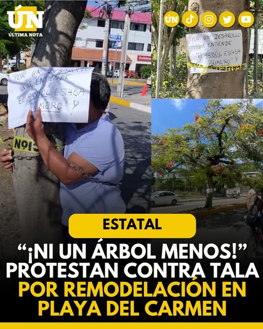 “¡Ni un árbol menos!” Protestan contra tala por remodelación en Playa del Carmen