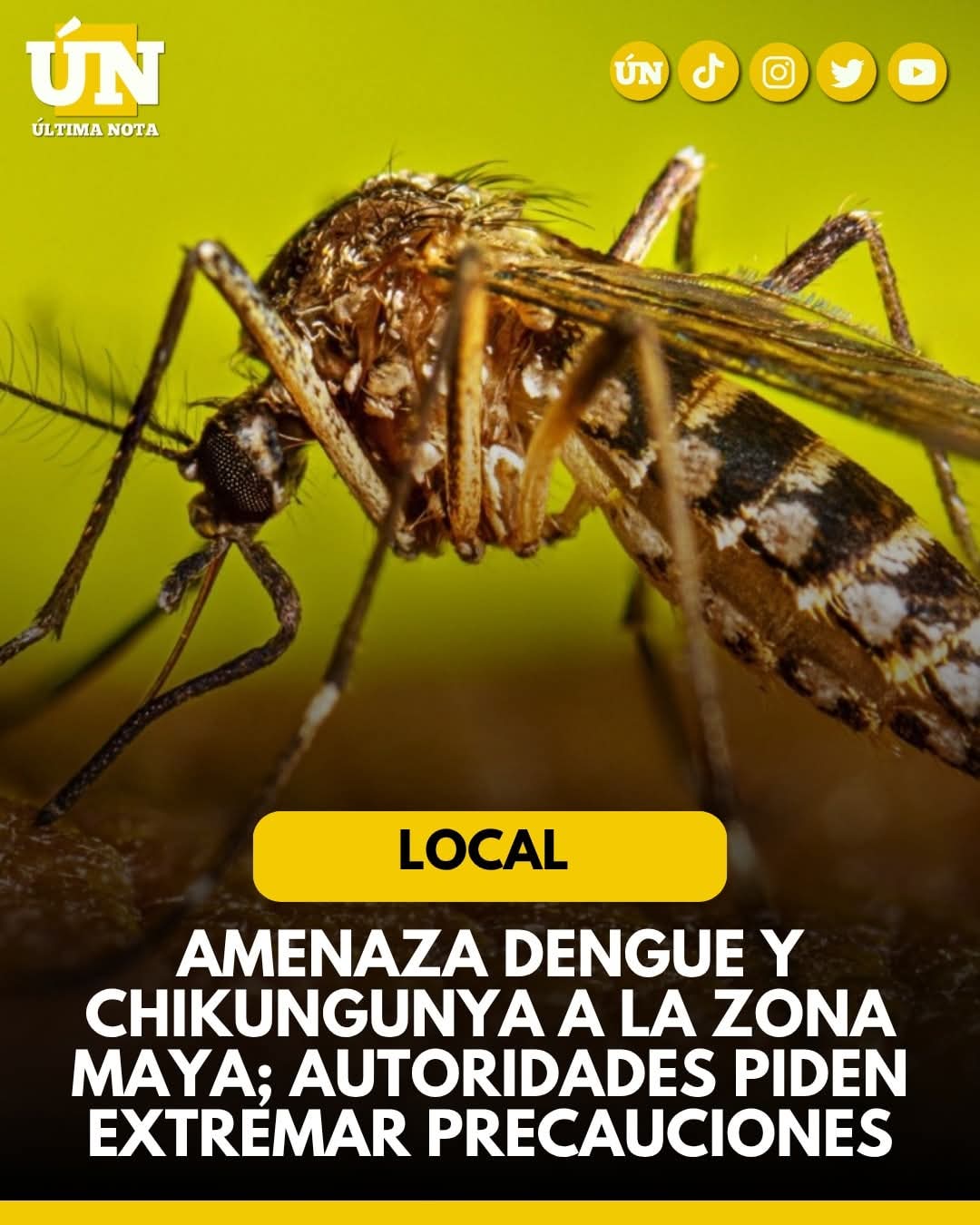 Amenaza dengue y chikungunya a la zona maya; autoridades piden extremar precauciones.