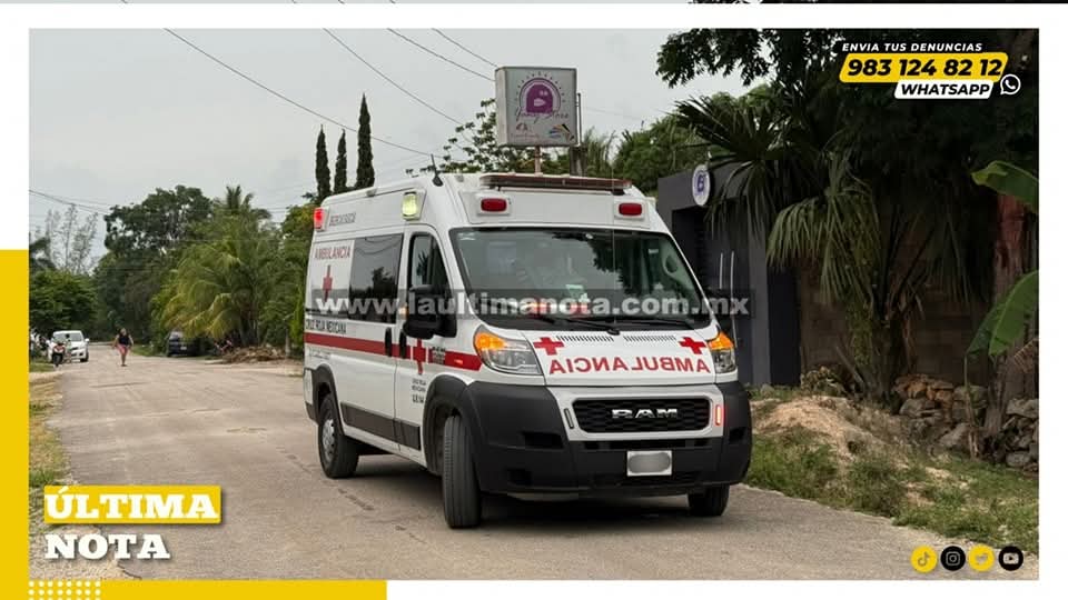 Hombre es atacado por abejas en su propio domicilio en Felipe Carrillo Puerto.